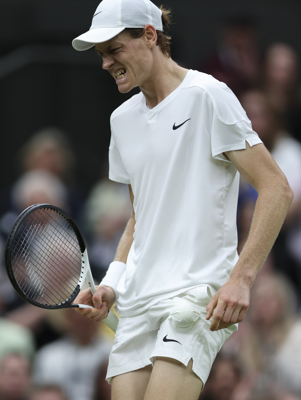 也把讨论拉 也把讨论拉